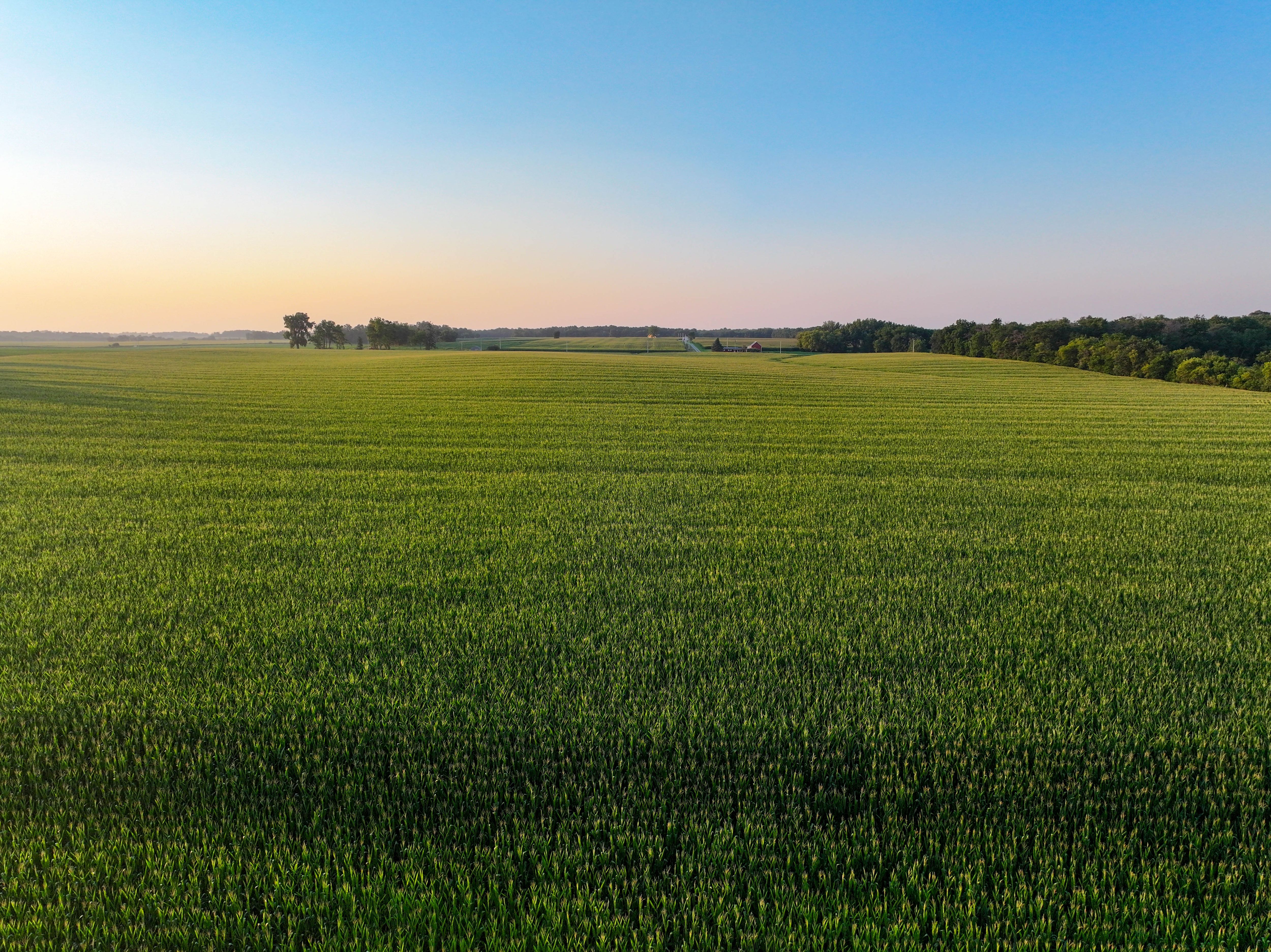 Listing Photo: 13_Fayette County IA Farmland For Sale